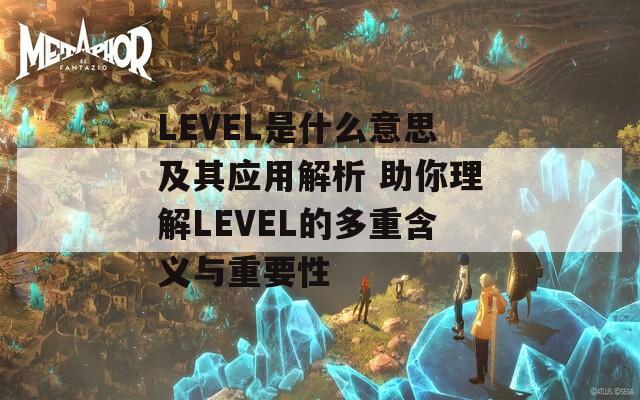 LEVEL是什么意思及其应用解析 助你理解LEVEL的多重含义与重要性