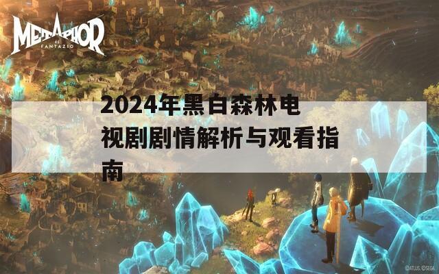 2024年黑白森林电视剧剧情解析与观看指南