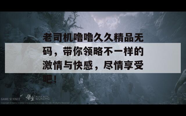 老司机噜噜久久精品无码，带你领略不一样的激情与快感，尽情享受吧！