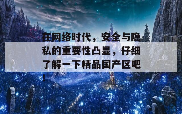 在网络时代，安全与隐私的重要性凸显，仔细了解一下精品国产区吧！