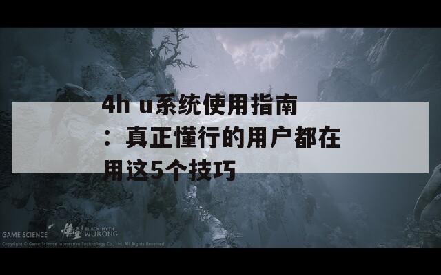 4h u系统使用指南：真正懂行的用户都在用这5个技巧