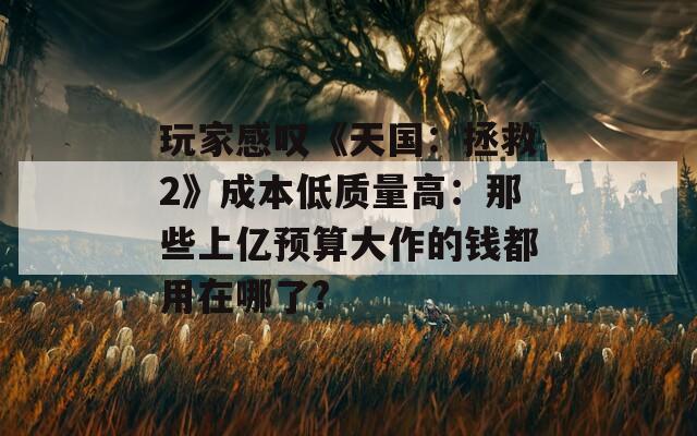 玩家感叹《天国：拯救2》成本低质量高：那些上亿预算大作的钱都用在哪了?