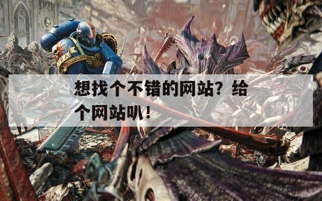 想找个不错的网站？给个网站叭！