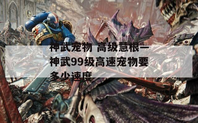 神武宠物 高级慧根—神武99级高速宠物要多少速度