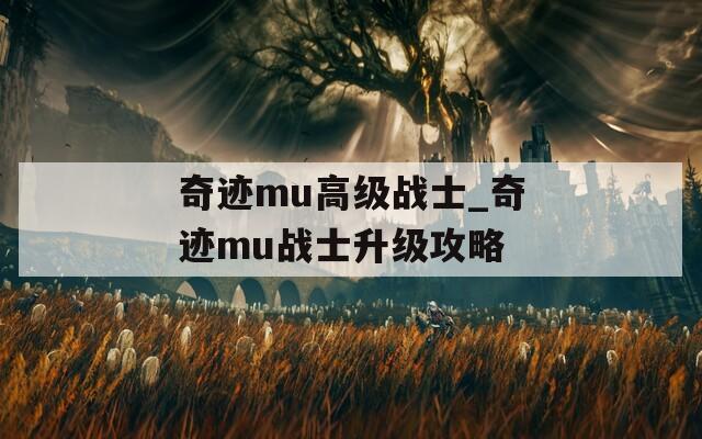 奇迹mu高级战士_奇迹mu战士升级攻略