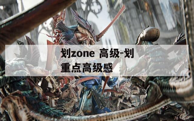 划zone 高级-划重点高级感