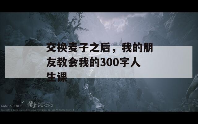 交换麦子之后，我的朋友教会我的300字人生课