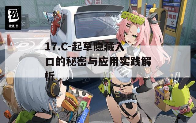 17.C-起草隐藏入口的秘密与应用实践解析