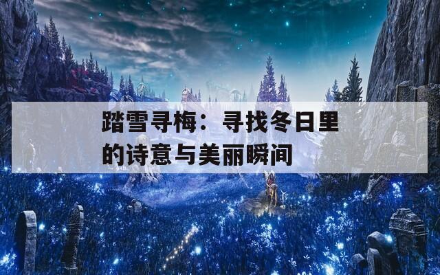 踏雪寻梅：寻找冬日里的诗意与美丽瞬间