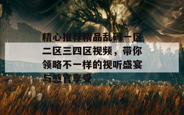 精心推荐精品乱码一区二区三四区视频，带你领略不一样的视听盛宴与感官享受