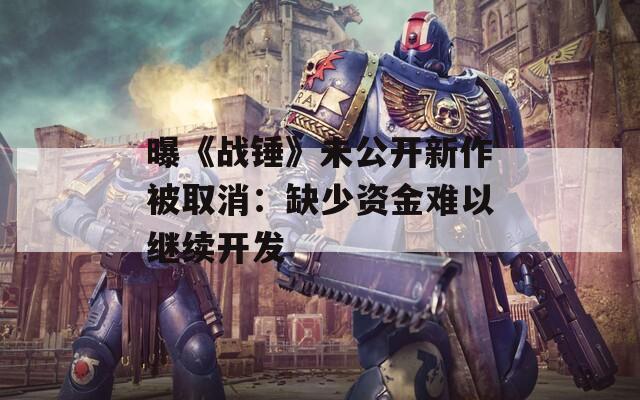 曝《战锤》未公开新作被取消：缺少资金难以继续开发