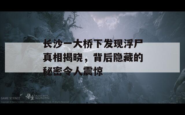 长沙一大桥下发现浮尸真相揭晓，背后隐藏的秘密令人震惊