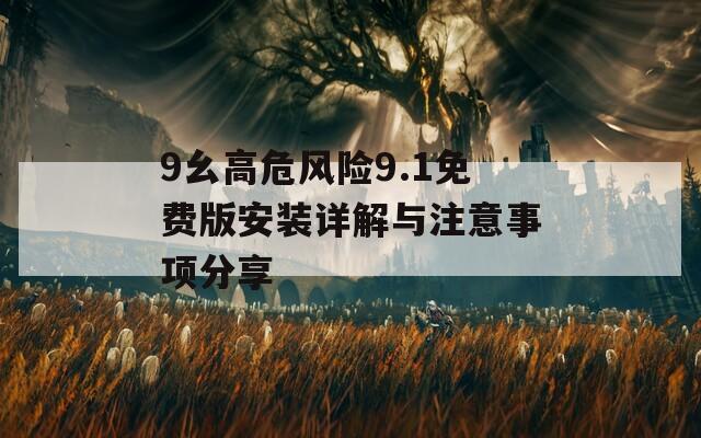 9幺高危风险9.1免费版安装详解与注意事项分享