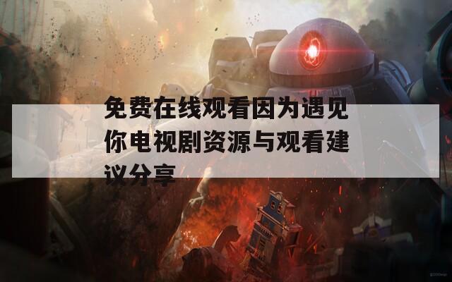 免费在线观看因为遇见你电视剧资源与观看建议分享