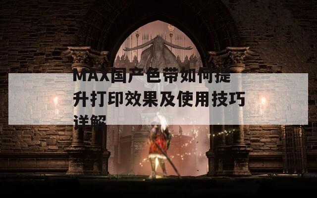 MAX国产色带如何提升打印效果及使用技巧详解