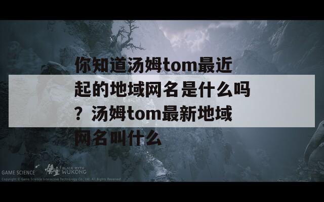 你知道汤姆tom最近起的地域网名是什么吗？汤姆tom最新地域网名叫什么