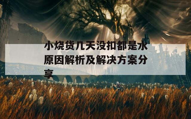 小烧货几天没扣都是水原因解析及解决方案分享