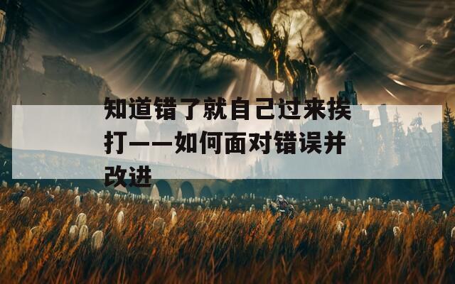 知道错了就自己过来挨打——如何面对错误并改进