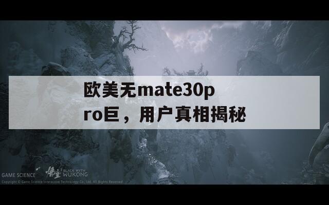 欧美无mate30pro巨，用户真相揭秘