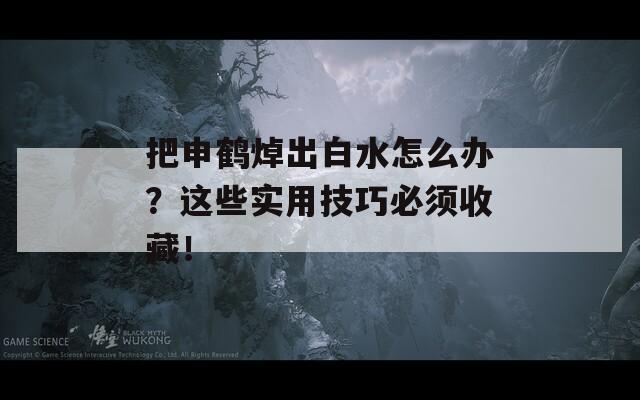 把申鹤焯出白水怎么办？这些实用技巧必须收藏！