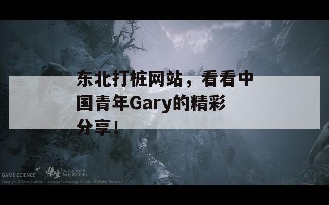 东北打桩网站，看看中国青年Gary的精彩分享！