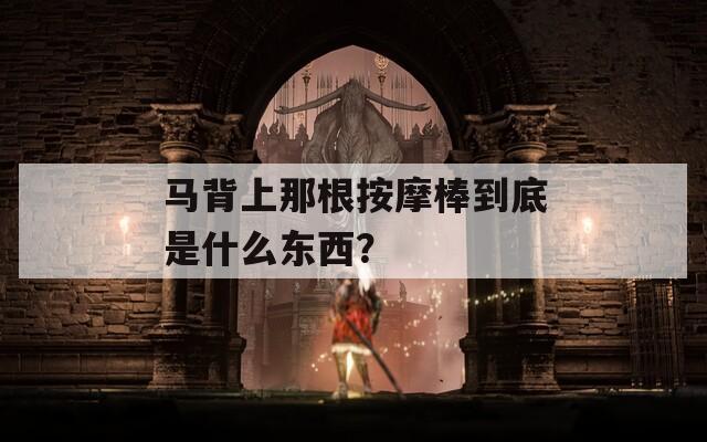 马背上那根按摩棒到底是什么东西？