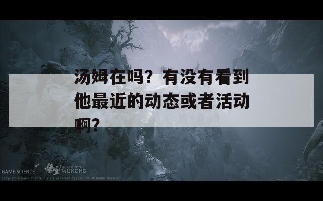 汤姆在吗？有没有看到他最近的动态或者活动啊？