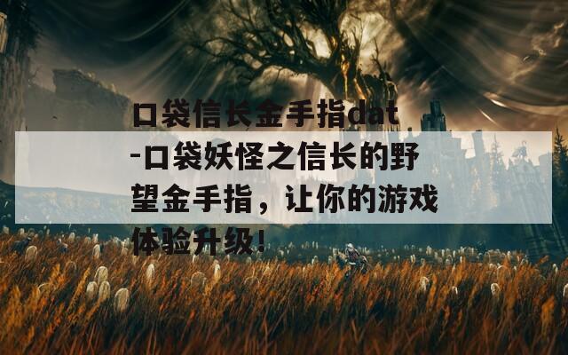 口袋信长金手指dat-口袋妖怪之信长的野望金手指，让你的游戏体验升级！