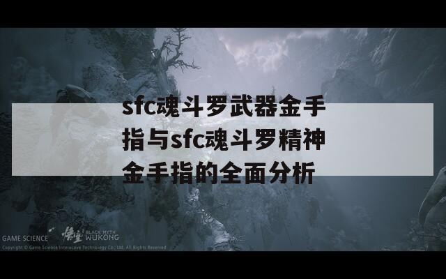 sfc魂斗罗武器金手指与sfc魂斗罗精神金手指的全面分析