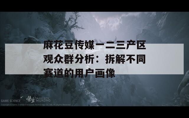 麻花豆传媒一二三产区观众群分析：拆解不同赛道的用户画像