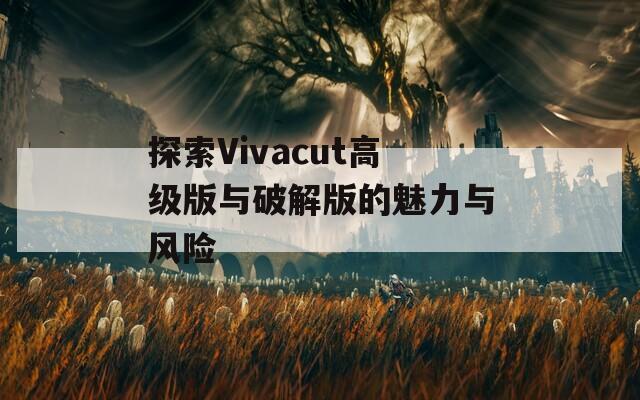 探索Vivacut高级版与破解版的魅力与风险