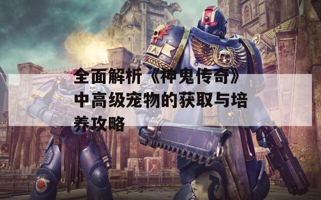 全面解析《神鬼传奇》中高级宠物的获取与培养攻略