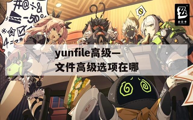 yunfile高级—文件高级选项在哪