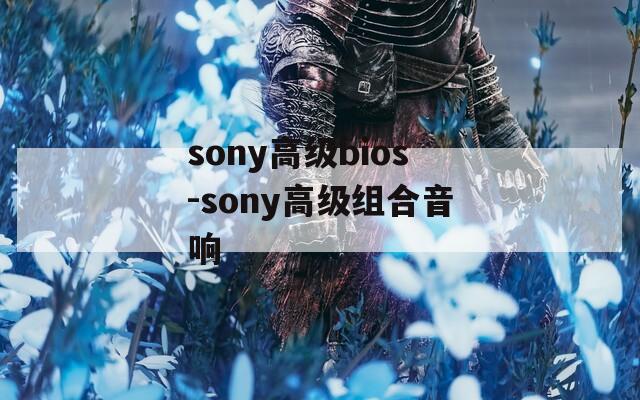 sony高级bios-sony高级组合音响